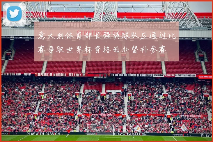 意大利体育部长强调球队应通过比赛争取世界杯资格而非替补参赛