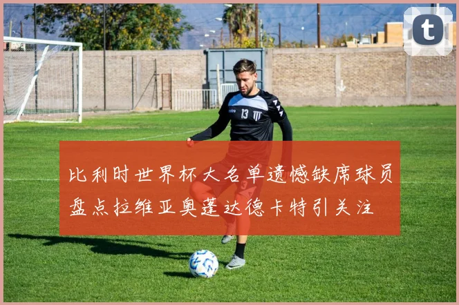 比利时世界杯大名单遗憾缺席球员盘点拉维亚奥蓬达德卡特引关注